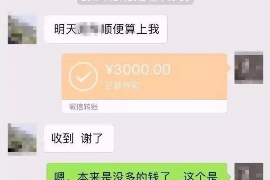 北辰贷款清欠服务